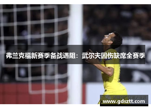 弗兰克福新赛季备战遇阻：武尔夫因伤缺席全赛季